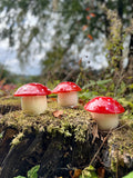 LumieShrooms Handmade Mushroom Candle