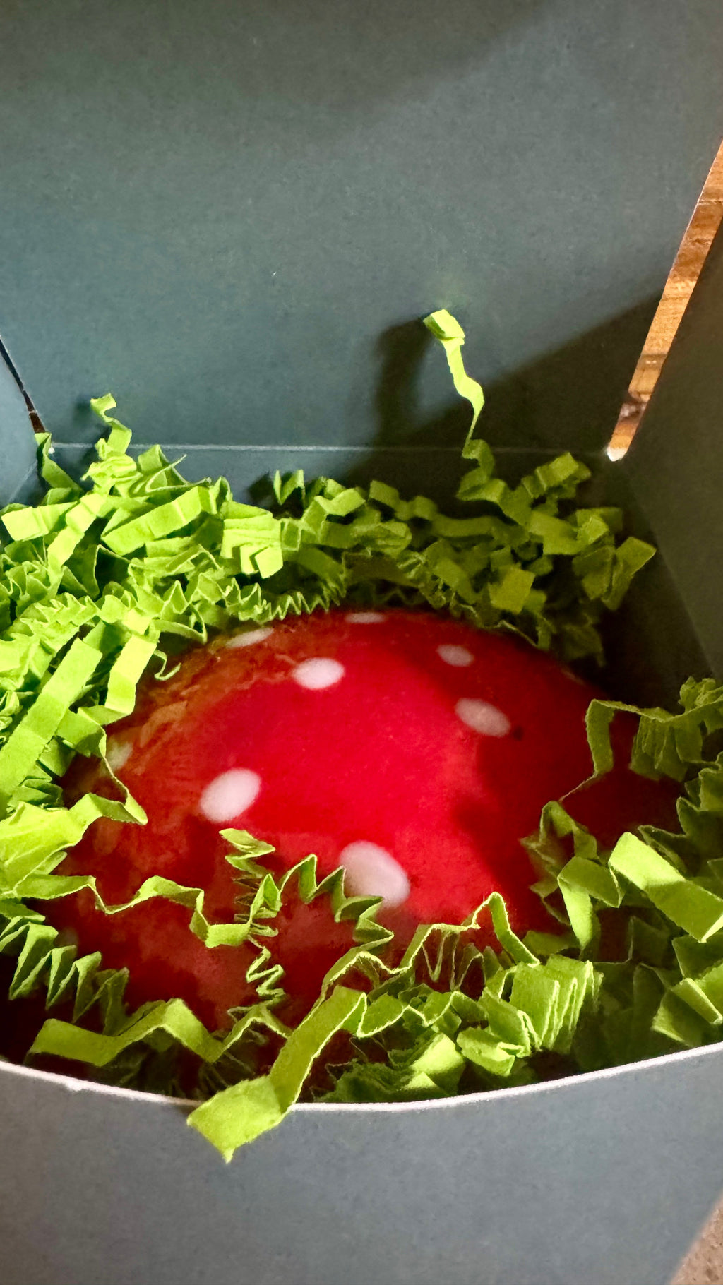 LumieShrooms Handmade Mushroom Candle