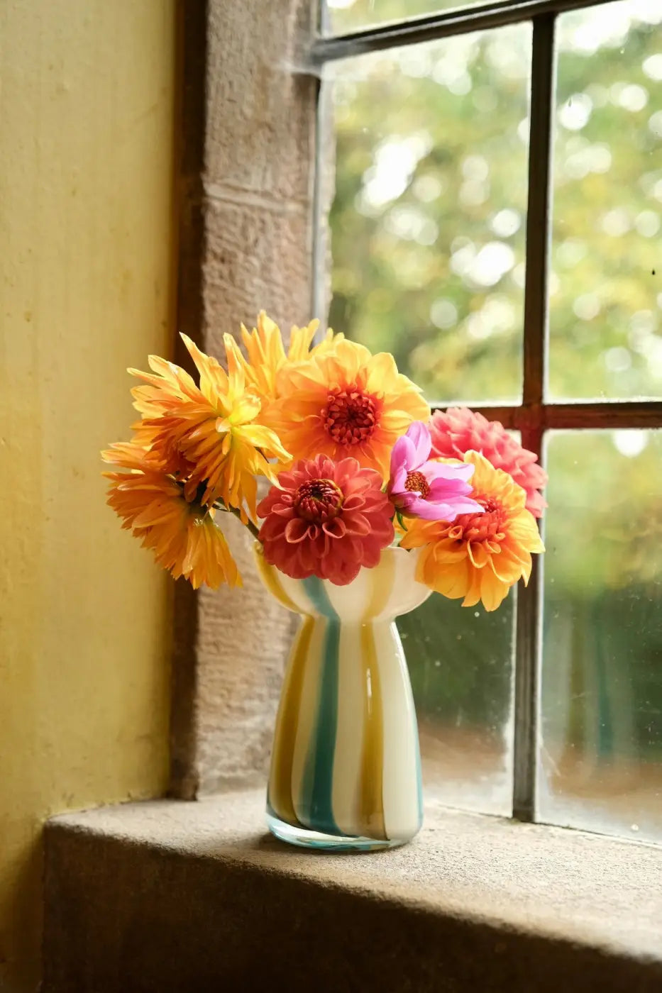 Striped glass vase with colorful orange pink and yellow dahlia bouquet in vibrant floral arrangement